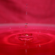 Illustration for article titled Shooting Challenge: Water Drop Gallery Part 1